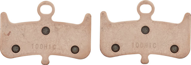 Hayes Disc Brake Pads for Dominion A4 - universal/Sintered