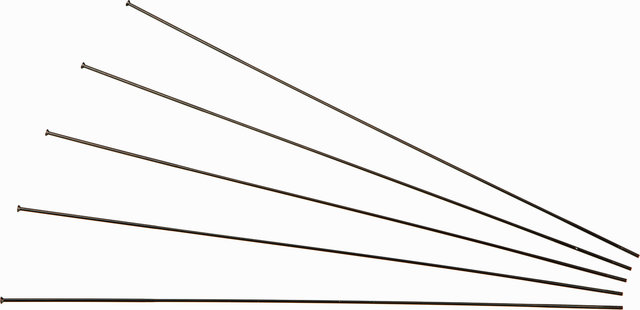 DT Swiss Rayons Competition® Straightpull 2.0 / 1.8 - 5 pièces - noir/286 mm