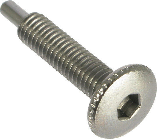 Topeak Chain Breaker Pin for Mini 20 Pro - silver