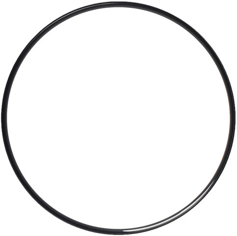 Hebie Decoration Ring for Chainguard 317 - black/universal