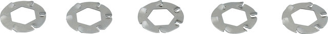 Pitlock Spring Washers for Pitlock Locks - silver