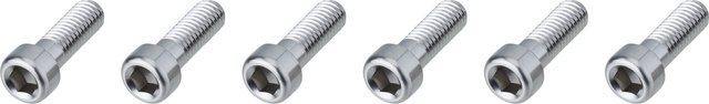 Burgtec Titanium Stem Bolts for Enduro MK2 / MK3 - silver