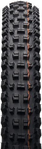 Schwalbe Albert Evolution Trail Radial ADDIX Soft TLR 29" folding tyre - black/29 /63 mm/63-622/2.5 