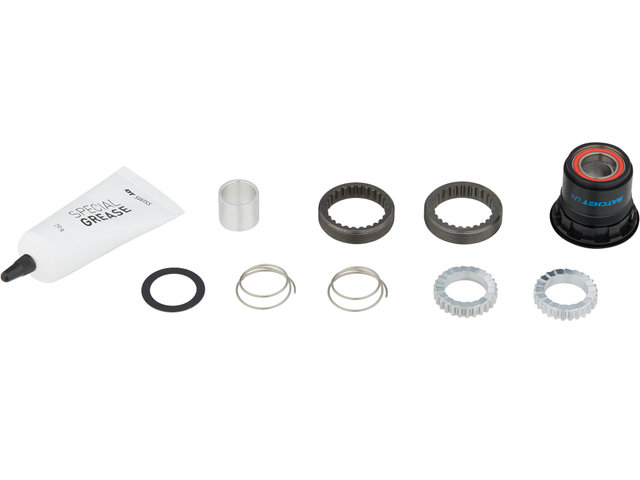 Dt Swiss Upgrade Kit Pawl To Ratchet Ln Bike Components