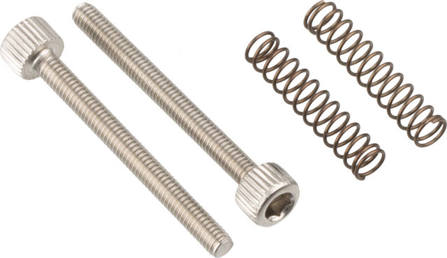 Surly Dropout Bolts for Straggler - silver