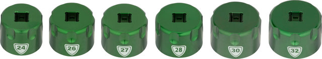 Abbey Bike Tools Set de accesorios Suspension Top Cap Socket - green