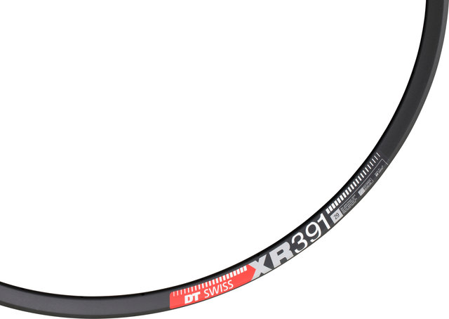 DT Swiss XR 391 Disc 29" Rim - black/28/29"