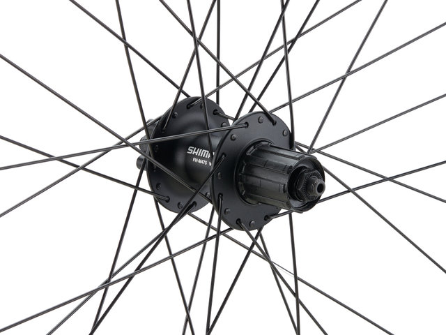 bc basic Mountain Alivio Disc 6-Loch DT Swiss 533D 26" Laufradsatz - schwarz/26" Satz (VR 9x100 + HR 10x135) Shimano