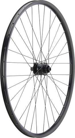 bc basic Juego de ruedas Alfine Disc Center Lock P-22 28" 8 velocidades - negro/Juego de 28" (RD 12x100 Dinamo + RT 10x135)