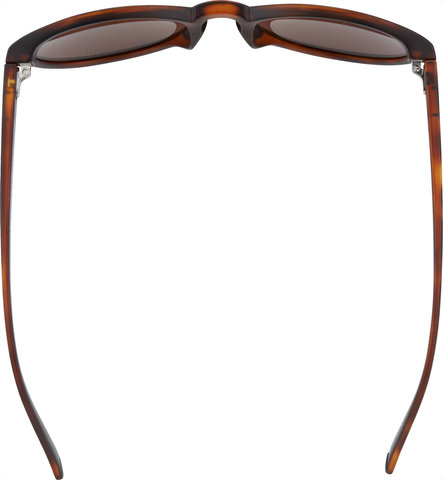 POC Gafas Know - tortoise brown/clarity road-sunny silver