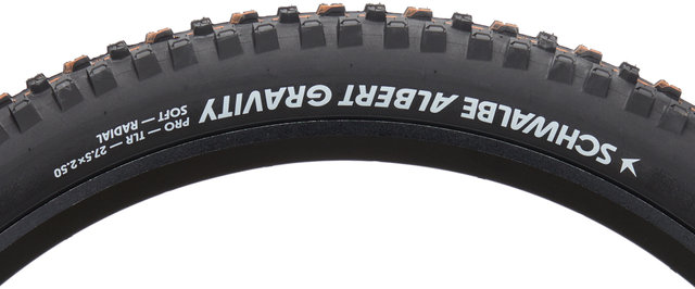 Schwalbe Pneu souple Albert Evolution Gravity Radial ADDIX Soft TLR 27,5" - noir/27,5x2,5