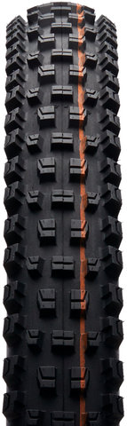 Schwalbe Pneu souple Albert Evolution Trail Radial ADDIX Soft TLR 27,5" - noir/27,5x2,5