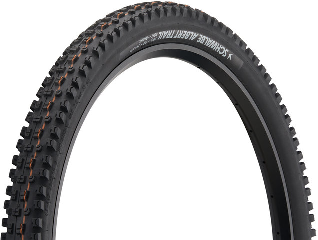 Schwalbe Pneu souple Albert Evolution Trail Radial ADDIX Soft TLR 29" - noir/29x2,5