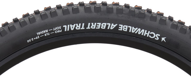 Schwalbe Pneu souple Albert Evolution Trail Radial ADDIX Soft TLR 29" - noir/29x2,5