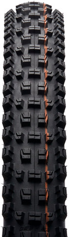 Schwalbe Pneu souple Albert Evolution Trail Radial ADDIX Soft TLR 29" - noir/29x2,5