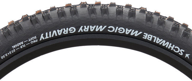 Schwalbe Pneu souple Magic Mary Evo Gravity Radial ADDIX Soft TLR 27,5" - noir/27,5x2,5