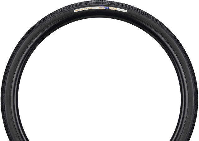 Panaracer Pneu Souple GravelKing SS TLR 28" Modèle 2024 - black-black/40-622 (700x40C)