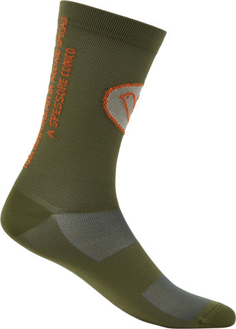 Cinelli Calcetines Columbus Green Box - green/43-46