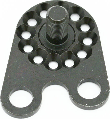 Rohloff TS Axle Plate - universal