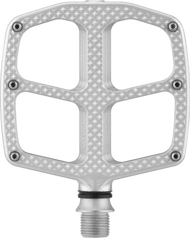 Hope Kids F12 platform pedals - silver