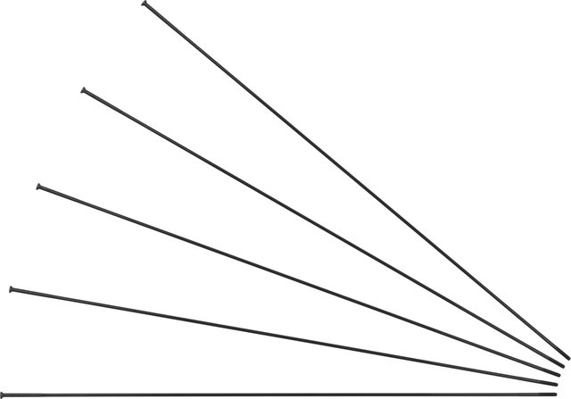 Sapim Rayons Race Straightpull + Écrous - 5 pièces - noir/298 mm