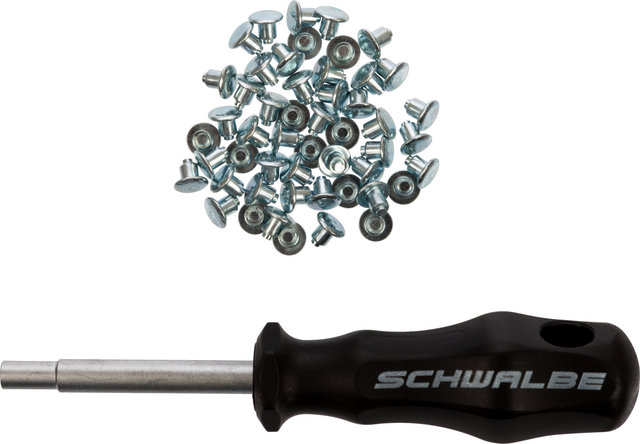 Schwalbe Replacement spikes with tool - silver