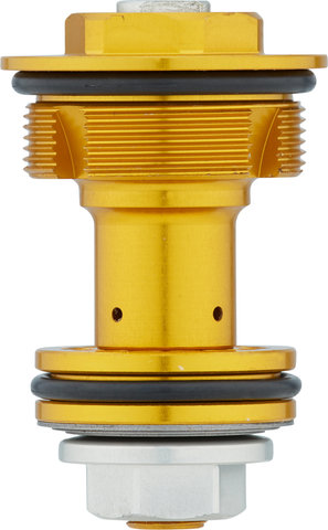 Formula CTS Compression Kit für MOD - gold