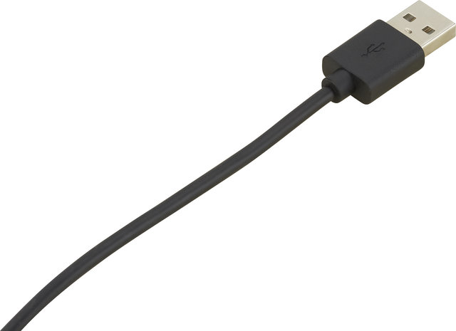 Lupine Dauerbrenner USB-A auf USB-C Kabel für SL Mono - schwarz