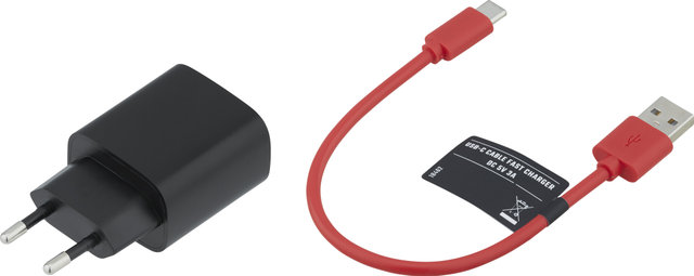 Sigma Ladegerät + USB-C Kabel Quick Charger für Buster 1100 - universal