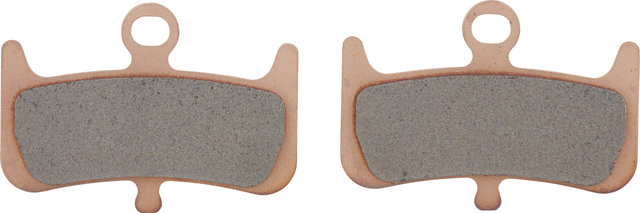 Hayes Disc Brake Pads for Dominion A4 - universal/Sintered