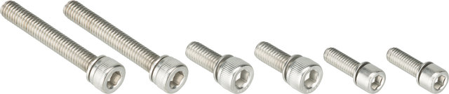 Renthal Stem Bolts for Integra II 31.8 / Integra II 35 10° - silver