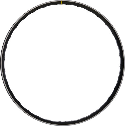 Mavic EX 1028 Disc 29" Rim - black/32/29"