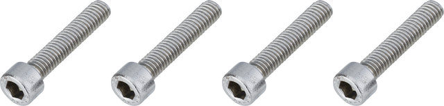 Burgtec Schrauben für Direct Mount Vorbau Spacer - silver/M6x30