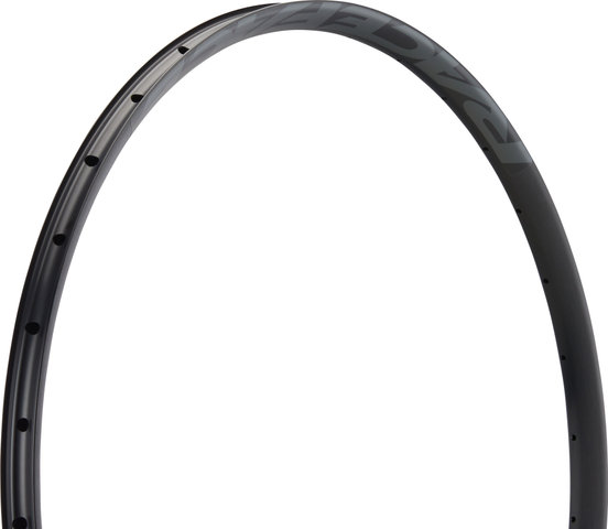 Race Face Jante AR Offset 25 29" - black-grey/32/29"