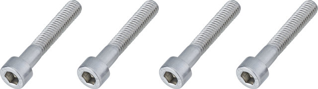 Burgtec Schrauben für Direct Mount Vorbau Spacer - silver/M6x35