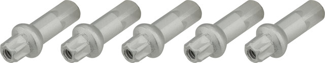 DT Swiss Écrous en Aluminium Pro Lock® Squorx Pro Head® 1,8 mm - 5 pièces - argenté