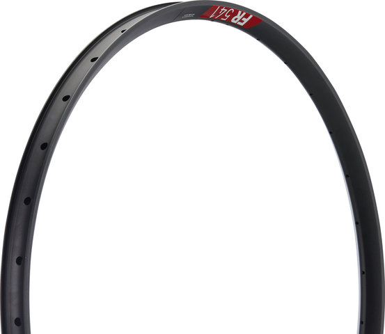 DT Swiss Llantas FR 541 Disc 29" - negro/32/29"