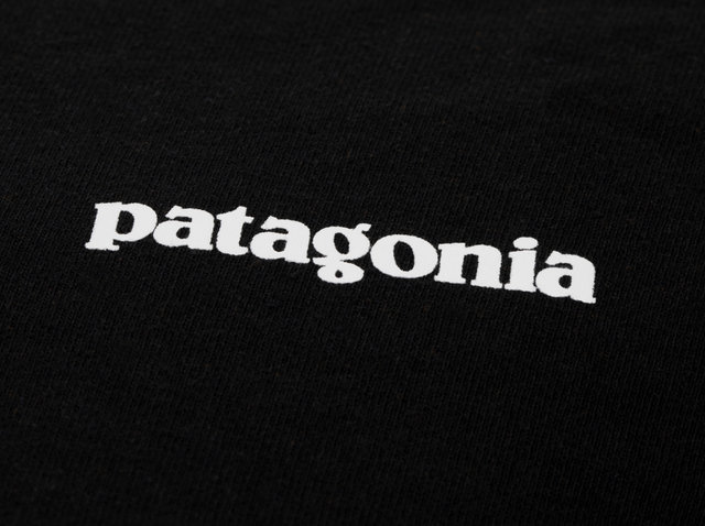 Patagonia P-6 Logo Responsibili Tee T-Shirt - black/M