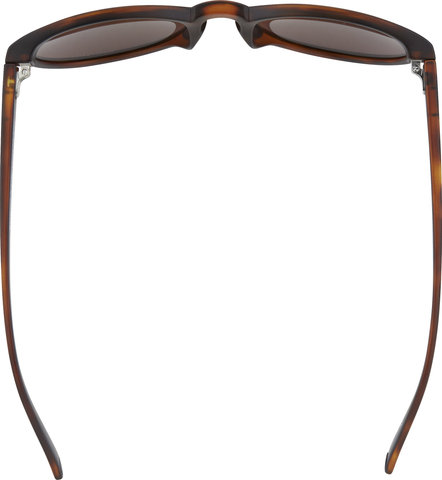 POC Know Glasses - tortoise brown/clarity road-sunny silver