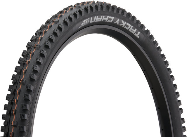 Schwalbe Pneu Souple Tacky Chan Evolution ADDIX Soft Super Trail 29" - noir/29 /62 /62-622/2.4 