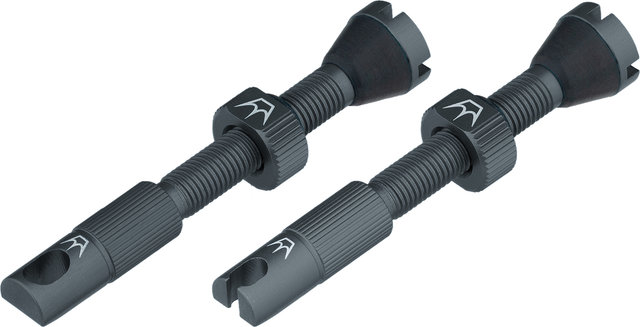 Peatys Chris King Edition MK2 Tubeless Valve 2-Pack Set - slate/Presta 42 mm