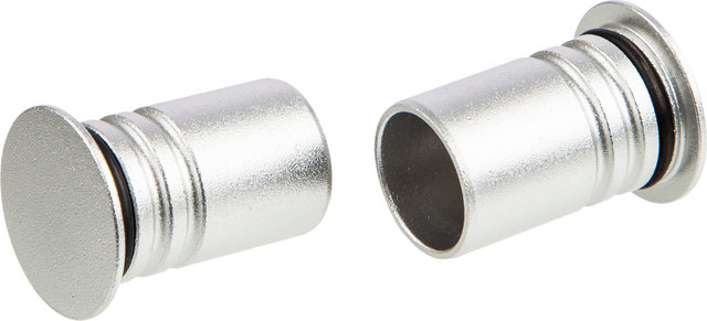 Syntace Bar Plugs Lenkerendstopfen - silber/CRB