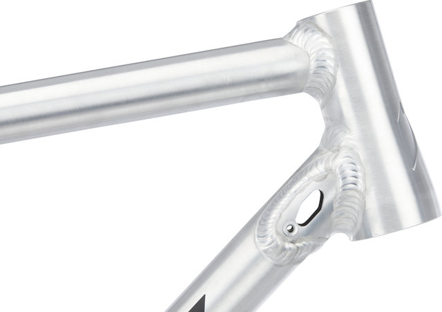 Nicolai Argon GX Frame - factory raw/M/12 mm Thru Axle