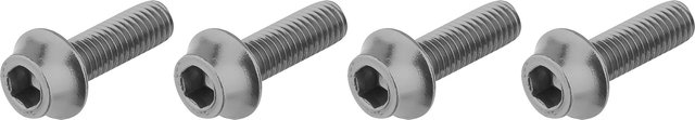 Wolf Tooth Components Tornillos para portabotellas - silver