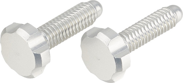 OAK Components EPA Screws for Root-Lever Pro - raw