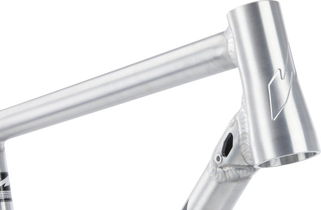 Nicolai Argon GX Frame - factory raw/M/12 mm Thru Axle