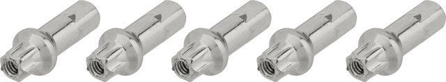 DT Swiss Écrous en Laiton Pro Lock® Squorx Pro Head® 2,0 mm - 5 pièces - argenté