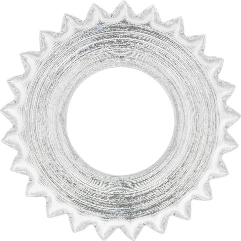 Campagnolo Arandela dentada BR-RE021 para Frenos de llanta - plata