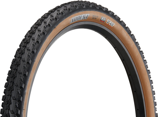 Maxxis Ardent Dual EXO TR Tanwall 29" Faltreifen - tanwall/29 "/61 mm/61-622/2.4 "