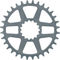 e*thirteen Helix R Guidering Direct Mount Chainring - grey/32 